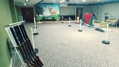 indoor shooting game