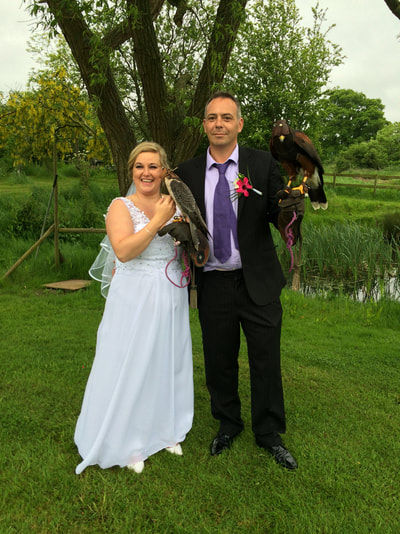 wedding falconry