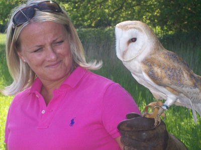 holding a barn owl
