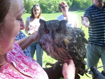 holding an owl