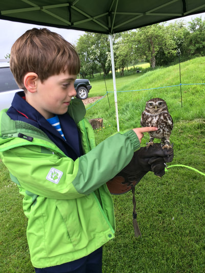 holding a little owl